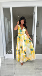 Nella Floral Print Dress