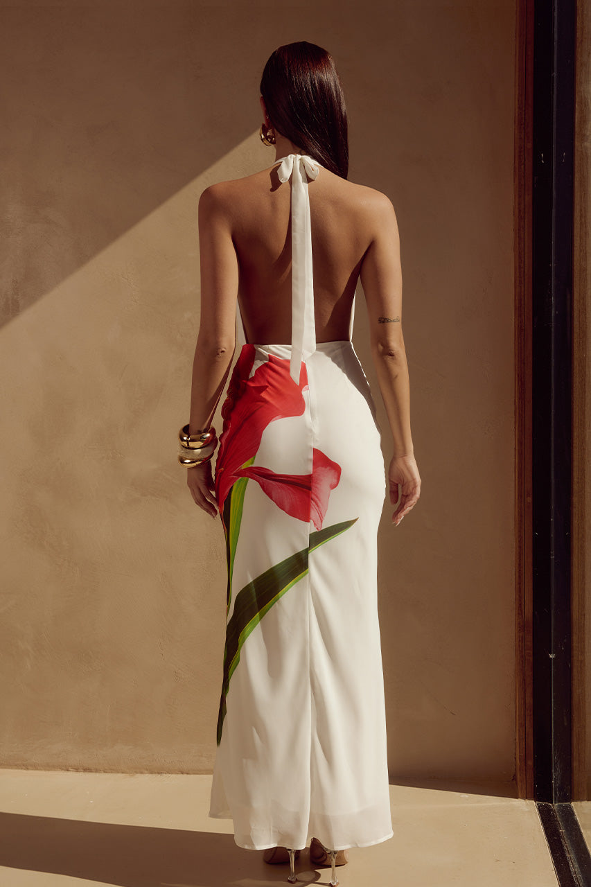 Jasmin's Red Lily